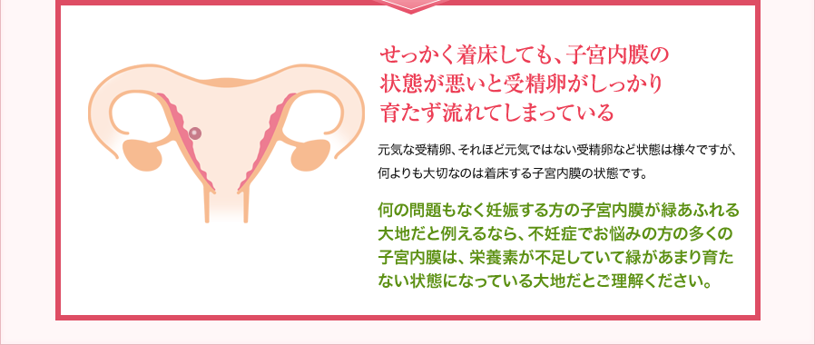 せっかく着床しても、子宮内膜の状態が悪いと受精卵がしっかり育たず流れてしまっている