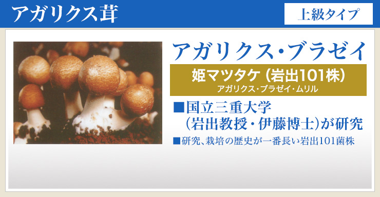 姫マツタケATOP 練ゴールド 4g 60包×2個練りペーストパワフル健康食品