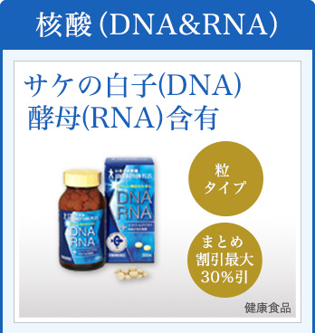 核酸（DNA&RNA)